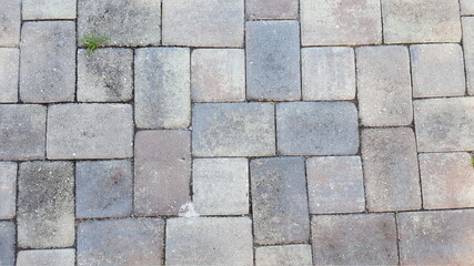 Gray Stone Rectangular Pavers