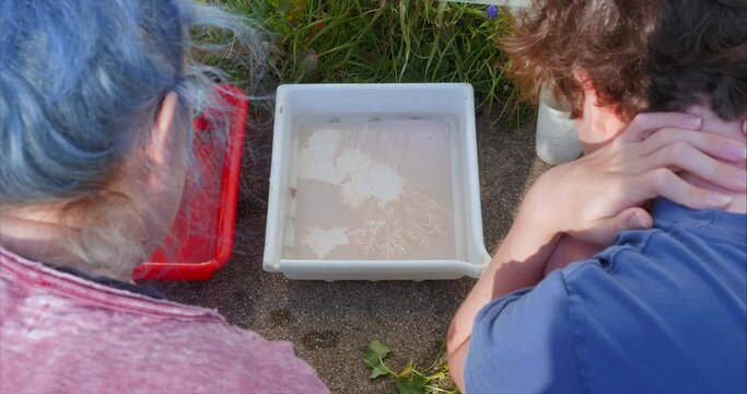 Woman and boy make photogram of flower outdoors, high angle close-up