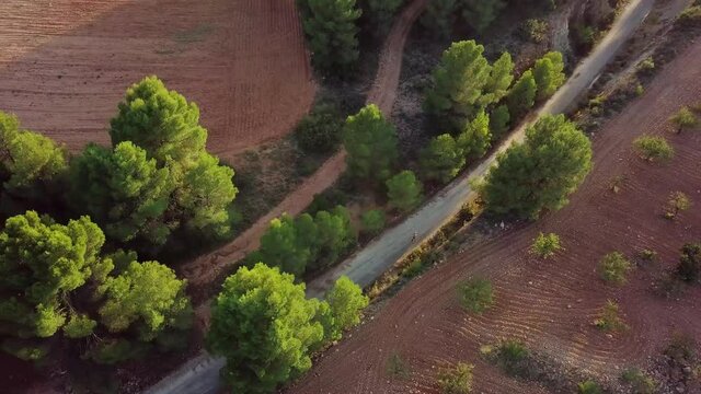 Aerial View Of A Man Participate At Ultra Marathon Race Walking Along Countryside Fields In Murcia, Spain.