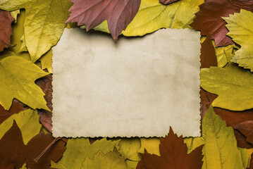 Naklejka na ściany i meble A sheet of antique paper in autumn yellow and red leaves. Space for the text. Flat lay.