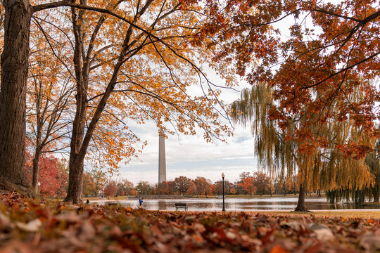Fall, Washington DC 