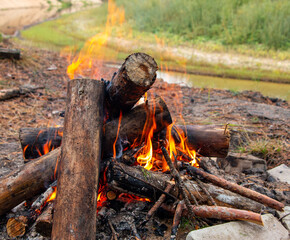bonfire made of pine sticks and branches is burning with bright orange warm warming flame with shining sparks, in open forest in nature for camping.