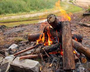 bonfire made of pine sticks and branches is burning with bright orange warm warming flame with shining sparks, in open forest in nature for camping.
