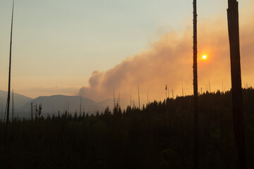 Trees previously burned stand starkly in the foreground of the distant smoke from a new wildfire outside of Glacier National Park Montana on a summer evening. 