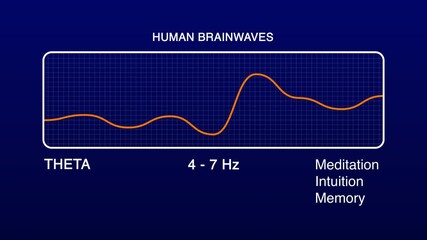 Theta Human Brain Waves Diagram Illustration Animation