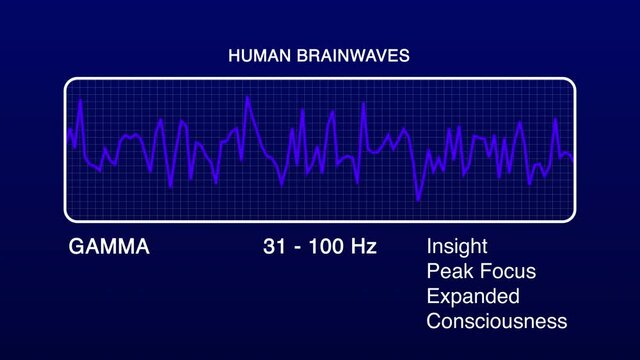 Gamma Human Brain Waves Diagram Illustration Animation