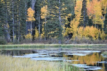 Fototapeta na wymiar Autumn At The Lake