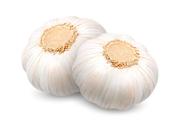 Two heads of garlic.. Realistic 3d Vector illustration isolated on white background.