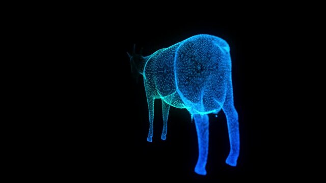 Digital particle goat animal technology. Goat in the form of a particles. Hologram model. Looping 3d animation.