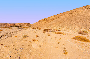 Loneliness and hopelessness of the desert