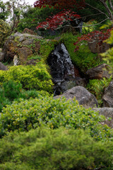 moss covered rocks
