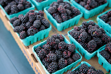 blueberries in a bowl