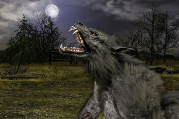 機械の女兵士と戦う笠をかぶった動きやすい服装のくノ一がお互いに刀を持ち戦闘している Wall Mural Preart Stock