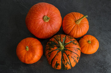 New autumn harvest bright orange pumpkins on text dark background