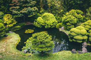 flowers in the garden