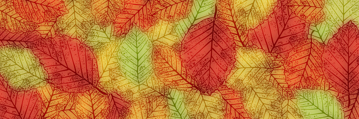 Autumn background of leaves, vector design, banner	