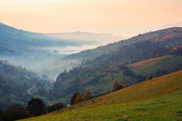 Obraz premium countryside mountain landscape on a foggy morning. beautiful nature scenery with trees in colorful foliage on the hills and village in the distant valley