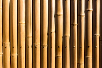 Fototapeta premium Light Wood Texture