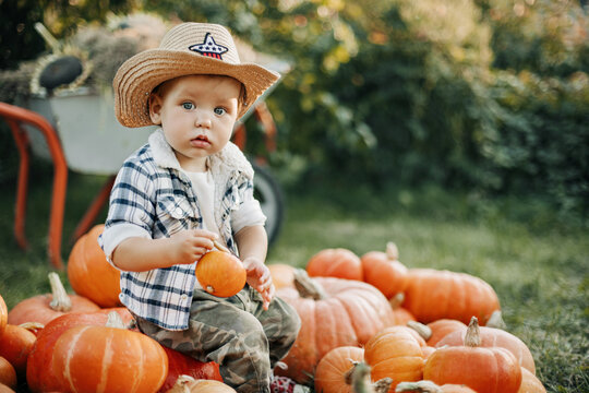 A little cowboy boy in a hat and a plaid shirt is sitting on a pile of pumpkins in the garden and holding a small pumpkin in his hands. Autumn, the time of harvest