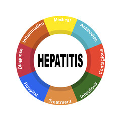Diagram concept with Hepatitis text and keywords. EPS 10 isolated on white background