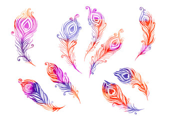 Watercolor multicolor Set of birds feather elements in the style of line art wedding theme on a white background. Doodle and scribble. Blue, orange, violet, pink, purple colorful peacock wings