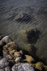 Mossy stone and lake texture background in nature. nature background