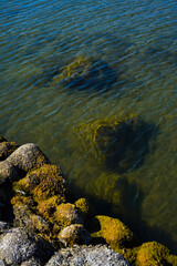 Mossy stone and lake texture background in nature. nature background