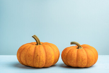 Obraz premium Orange halloween pumpkins with bats, holiday decoration