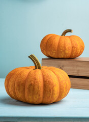 Orange halloween pumpkins with bats, holiday decoration