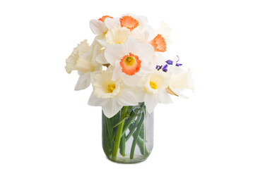 bouquet daffodil isolated