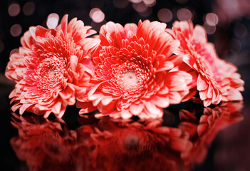 closeup shot of beautiful delicate red flowers reflected in the glass surface 