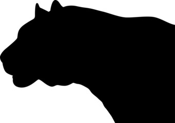 Black silhouette of a tiger's head, isolated on a white background. The silhouette of a black tiger standing in a calm pose.
