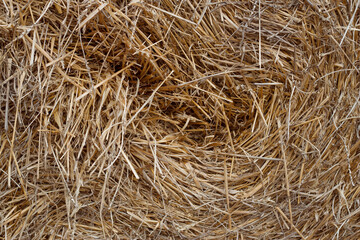 Straw bale textured background with natural light.