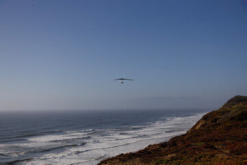 seagulls on the beach