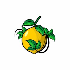 vector illustration of lemon fruit on a white background