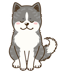 お辞儀する秋田犬（虎毛）