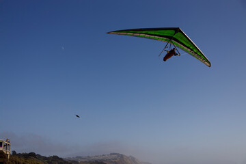 kite in flight