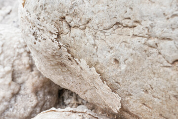 Sand and stones covered with crystalline salt crust on shore of Dead Sea, closeup detail
