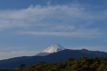 雪化粧の富士山