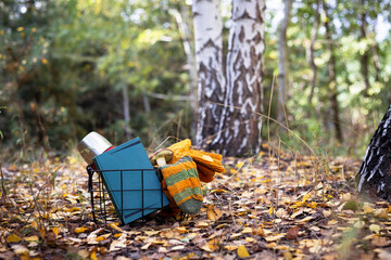 beautiful autumn still life