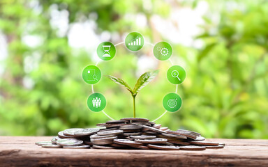 Sapling growing on pile of coins and business finance growth icon money saving concept