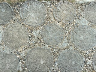 Man-made steps in the shape of cut tree trunks.