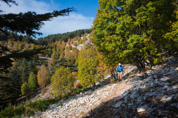 Fototapeta na wymiar Hiking on mountains steep slope among trees in sunny day, Man is trekking Lycian Way, Trail from Alakilise Ruins to Finike, Outdoor activity, eco tourism in Turkey