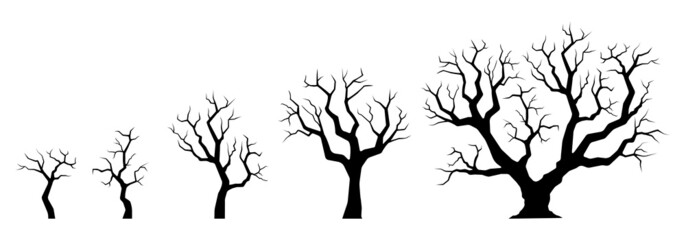 Naked tree silhouette set. Winter small and big trees with bare branches. Growth process. Vector illustration.