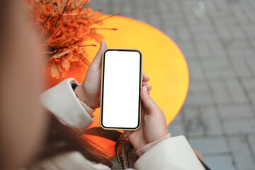 Top view of a woman hands holding smartphone with white blank screen. Copy space in autumn garden....