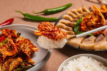 신선한 재료로 만들어 밥과 먹어도 맛있고 고기와 함께 먹어도 맛있는 한국 겉절이 김치