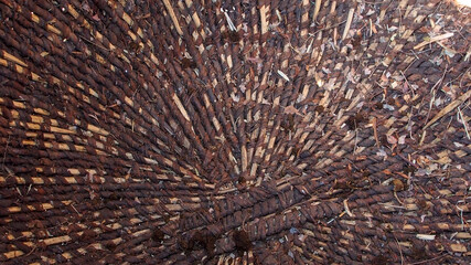 Close up of a the brown basket made from tree bask. Location Namibia
