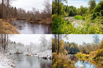 Beautiful collage of 4 seasons, different pictures but same place of an river in wilderness. Spring...