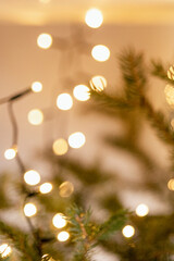 Obraz na płótnie Canvas Blurry colorful Christmas bokeh light