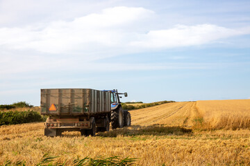 Ein Traktor mit Anhänger fährt über ein Feld bei der Ernte